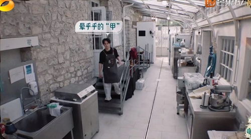 《中餐廳8》爭議升級 林述巍被鎖冷庫，導演做法引眾怒